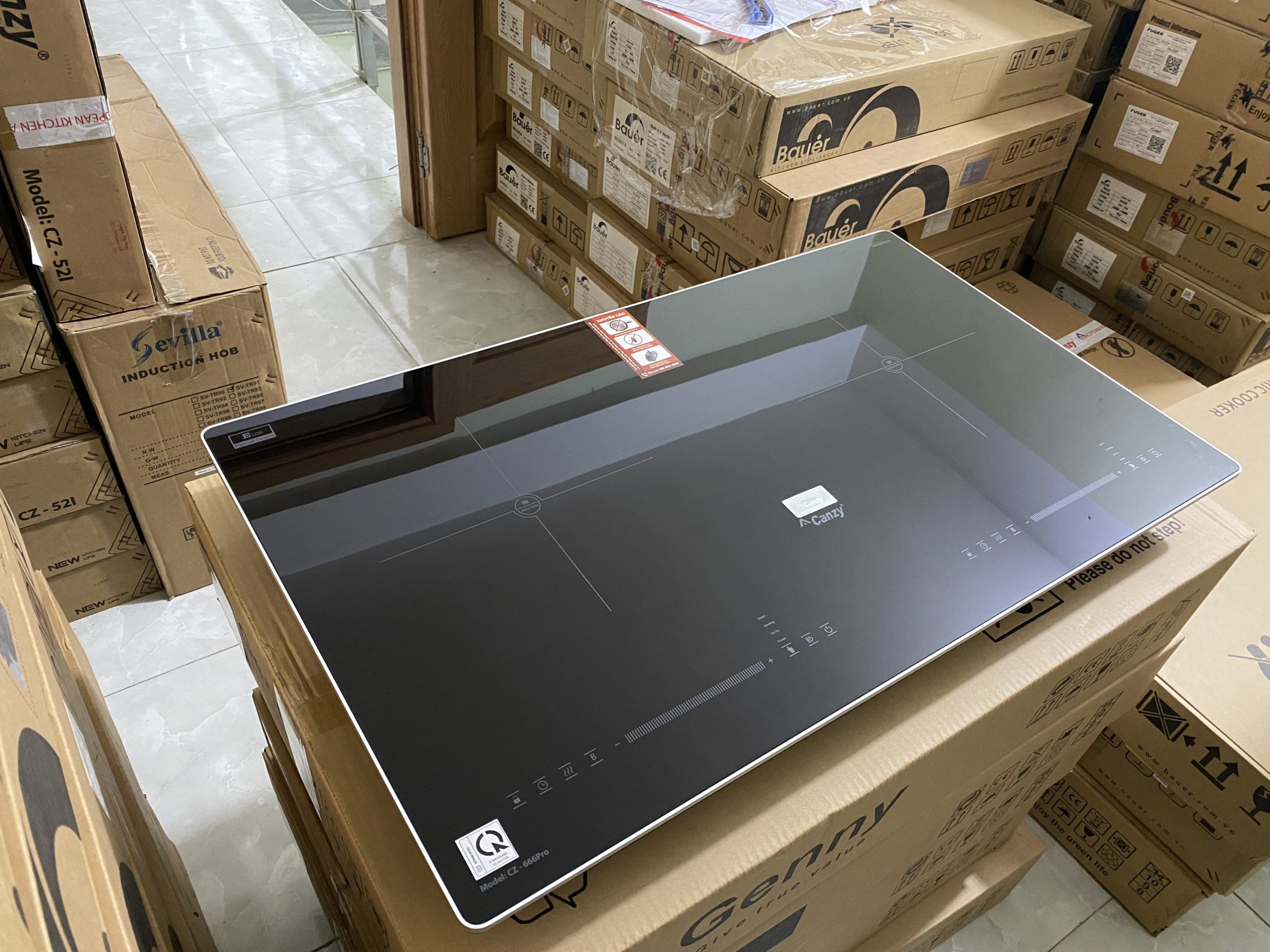 Bếp từ Canzy CZ 666 Pro